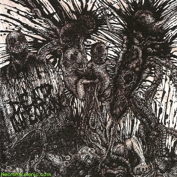 Dead Infection- Dead Singles Collection CD on Rotten Foetus Prod