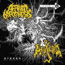 AFFINITY HYPOTHESIS / INTOXICATED- Split CD on Imbecil Ent.