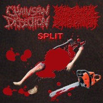 CHAINSAW DISSECTION / P.H.D.- Split CD