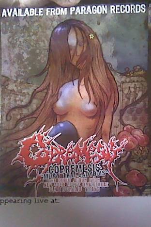 Copremesis- Muay Thai Ladyboys POSTER