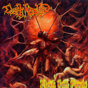 Death Reality- Flesh Still Feeds 12" LP VINYL