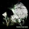 Domination Through Impurity- Essence Of Brutality CD on Comatose