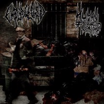 EMBLUDGEONED / HUMAN FILLETED- Split CD on SEVARED RECORDS