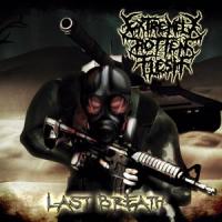Extremely Rotten Flesh- Last Breath CD on Brutalized Rec.