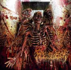Fleshrot- Traumatic Reconfiguration CD on Deepsend Rec.