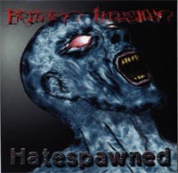 Frozen Illusion- Hatespawned CD