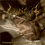 Fungus- Through Flesh Slides The Blade MCD