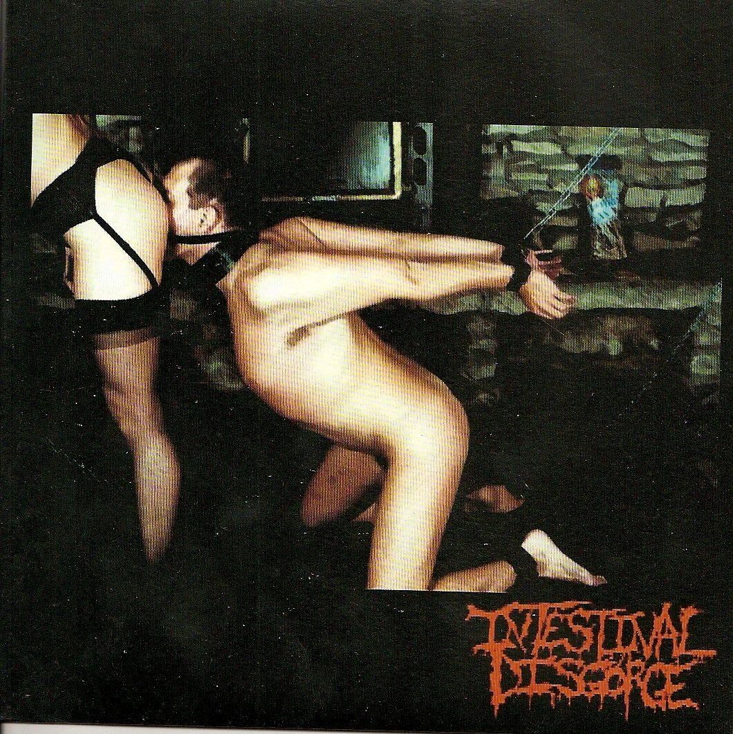Intestinal Disgorge / Lincoln Love Log- Split 7" EP VINYL on Goa