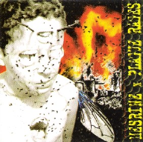 Mesrine / Plages Rages- Split CD on The Hole Prod.