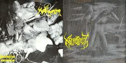 Necrobiosis / Intense Agonizing- Split 7" EP VINYL Necrobiosis / Intense Agonizing- Split 7" EP VINYL