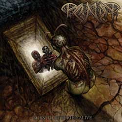 Paganizer- Born To Be Buried Alive CD on Asphyxiate Rec.