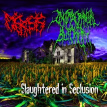 PLEROSIS / INTRACRANIAL BUTCHERY- Slaughtered In Seclusion Split