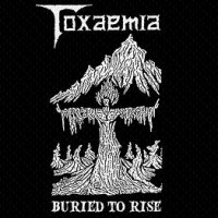 Toxaemia- Buried To Rise 2 x CD on Dark Descent Records