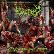 VULVECTOMY- Abusing Dismembered Beauties CD on Sevared Rec.