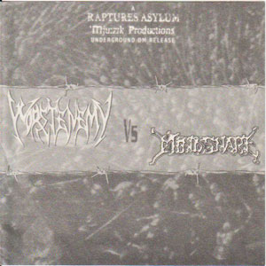 Mind Snare / Worstenemy- Split 7" EP VINYL