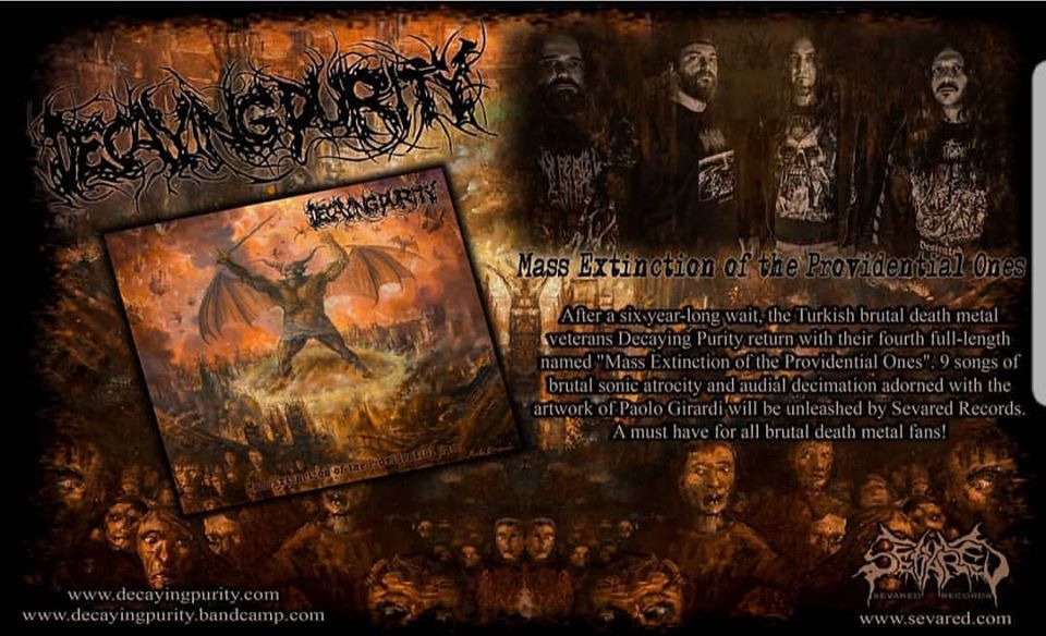Decaying Purity New Album Out Soon on Sevared Records
